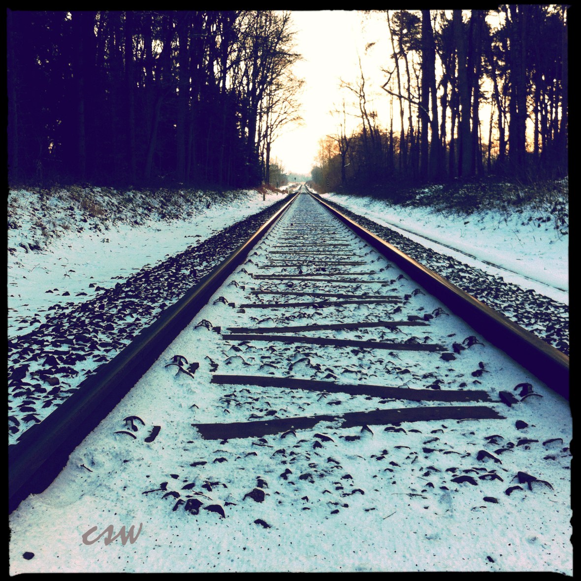 Tracks
