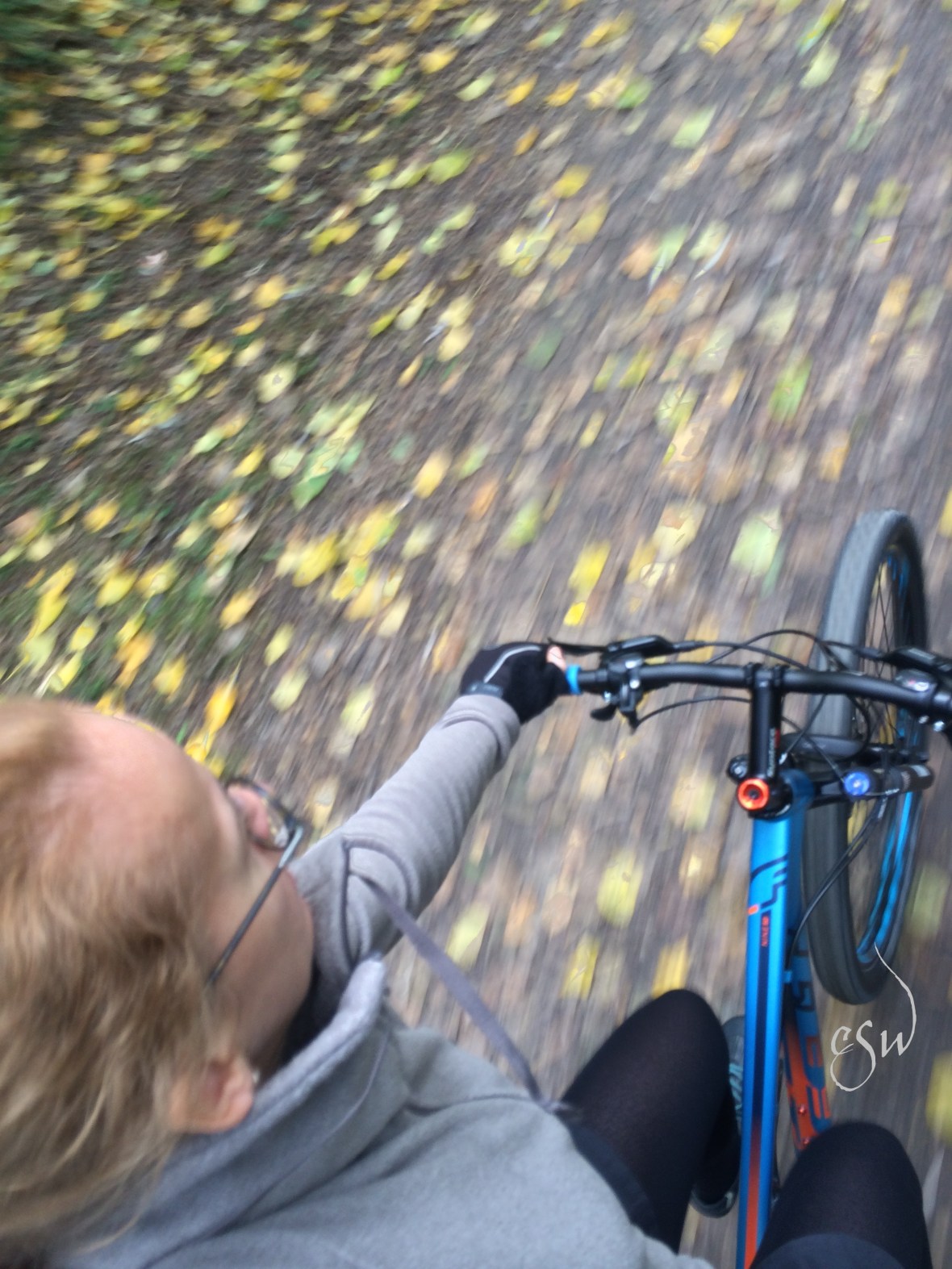 Autumn Cycling