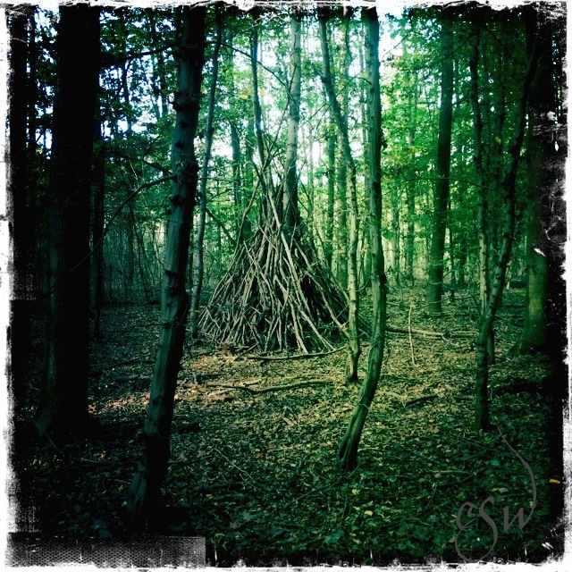 Wooden Tipi In The Woods Behind My Home