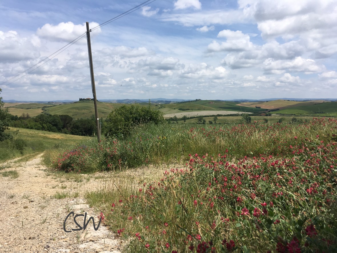 My view during a rest