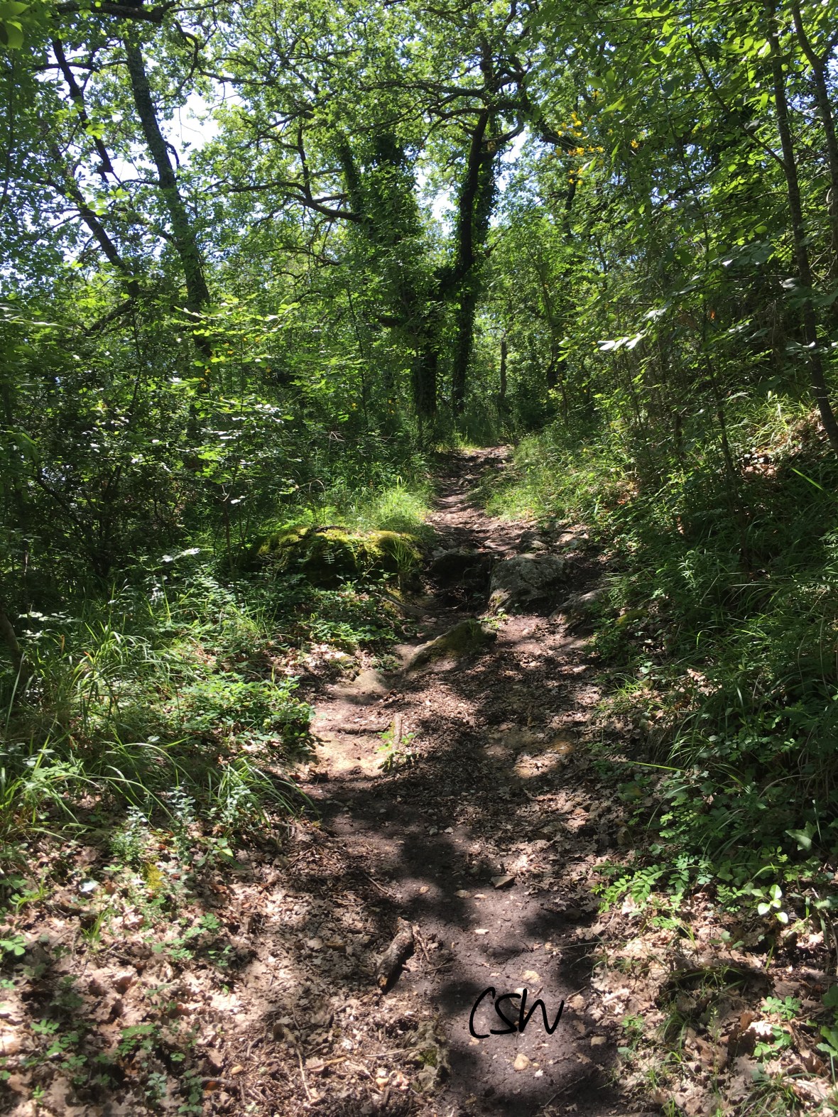 ... I took back to the trails to end the adventure in style ;o)