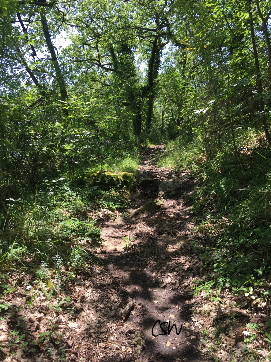 ... I took back to the trails to end the adventure in style ;o)