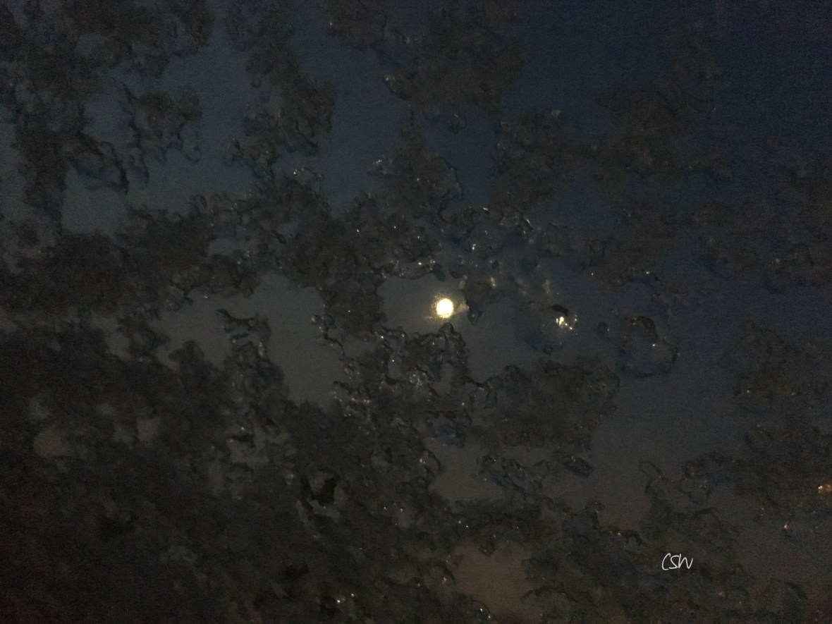 Snow on my roof window