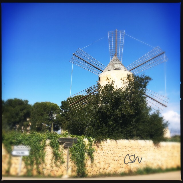 Pretty windmill near Satorre Mallorca Looks a bit like a giant spiderweb .