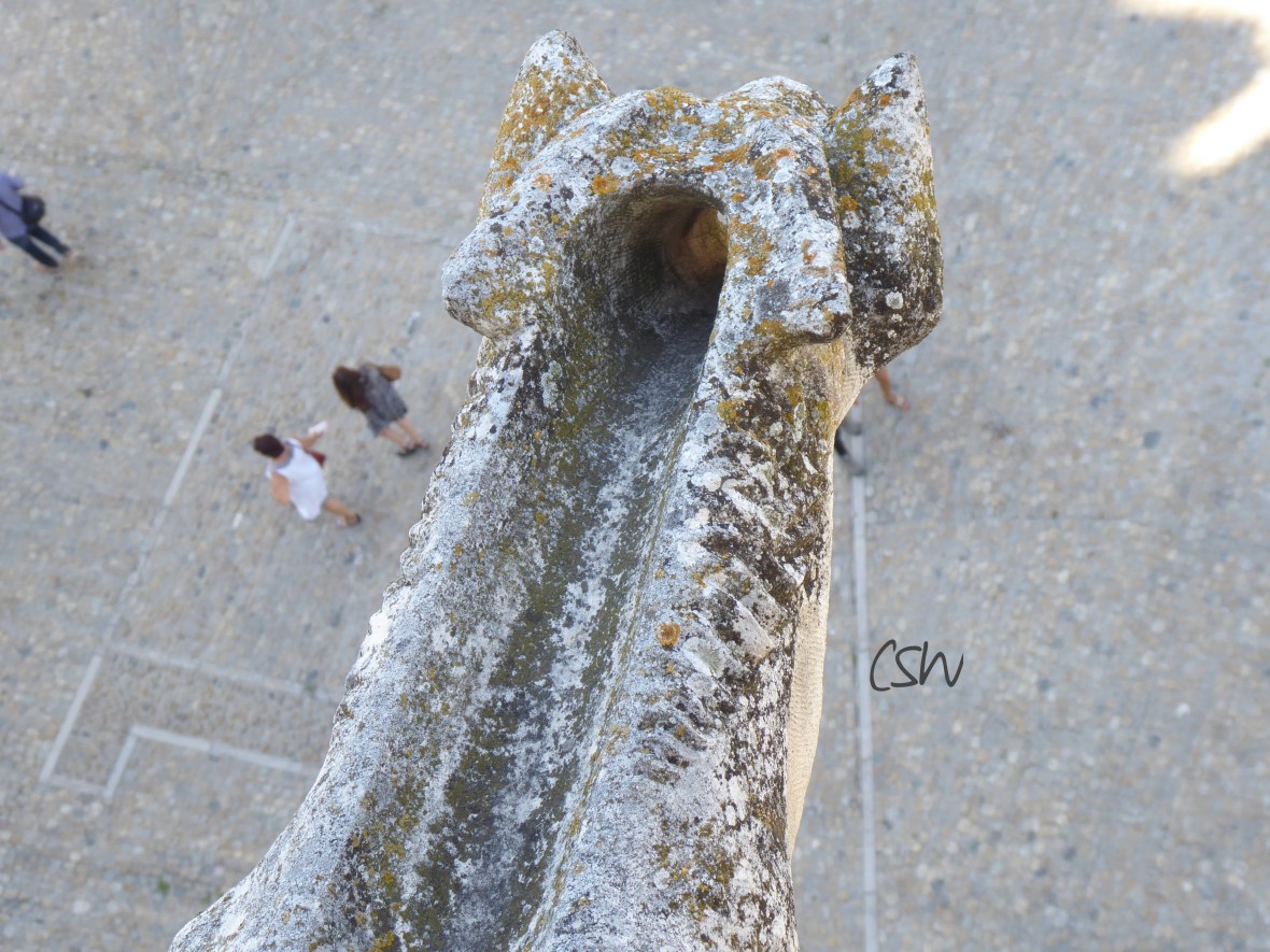 View down from the Palais des Papes