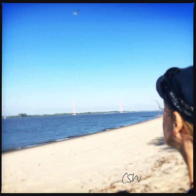 Elbe river bank. Beach!