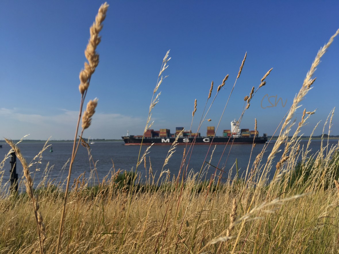 A ship going downstream to the North Sea