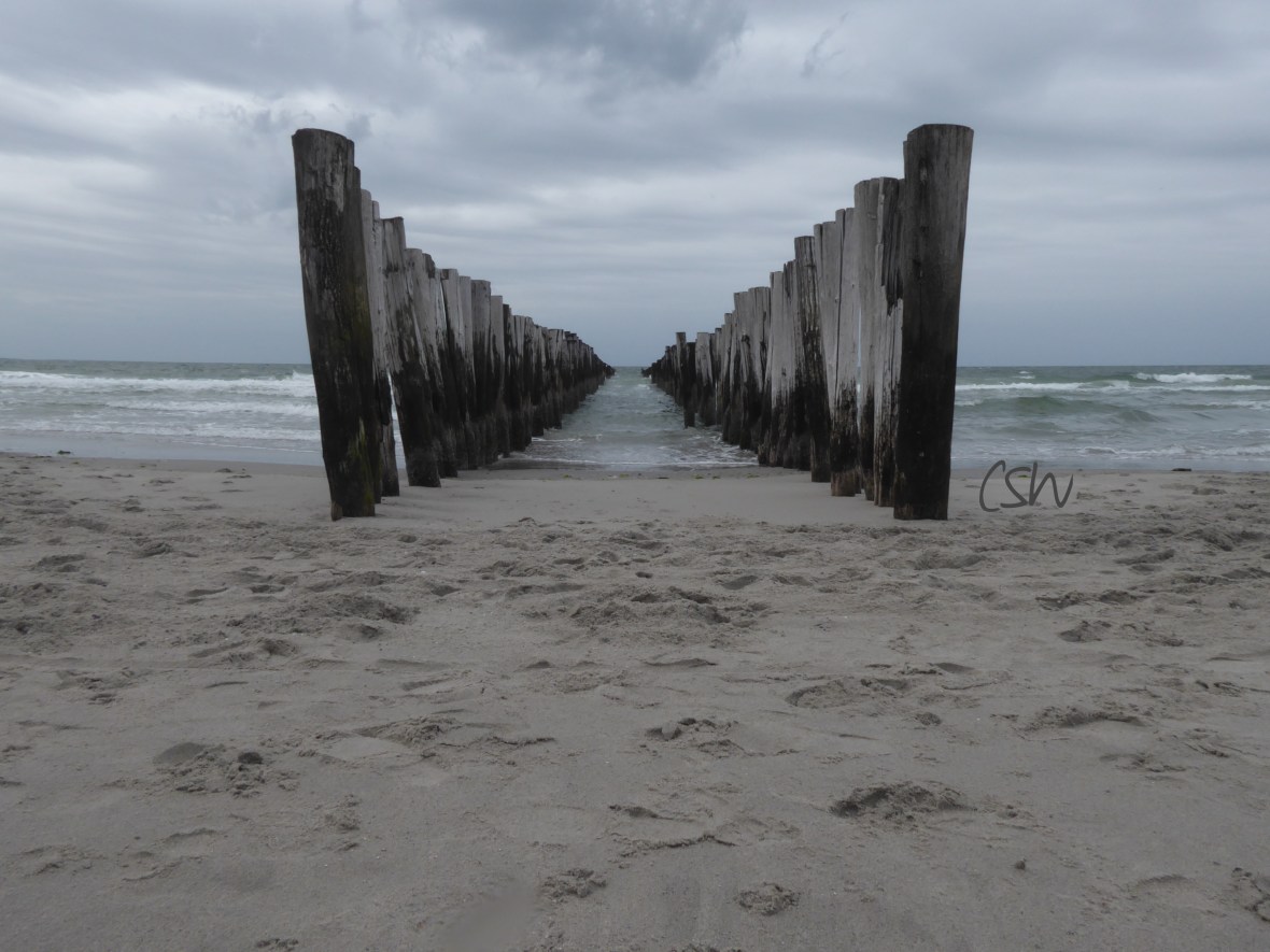 At the beach near Hamsteede