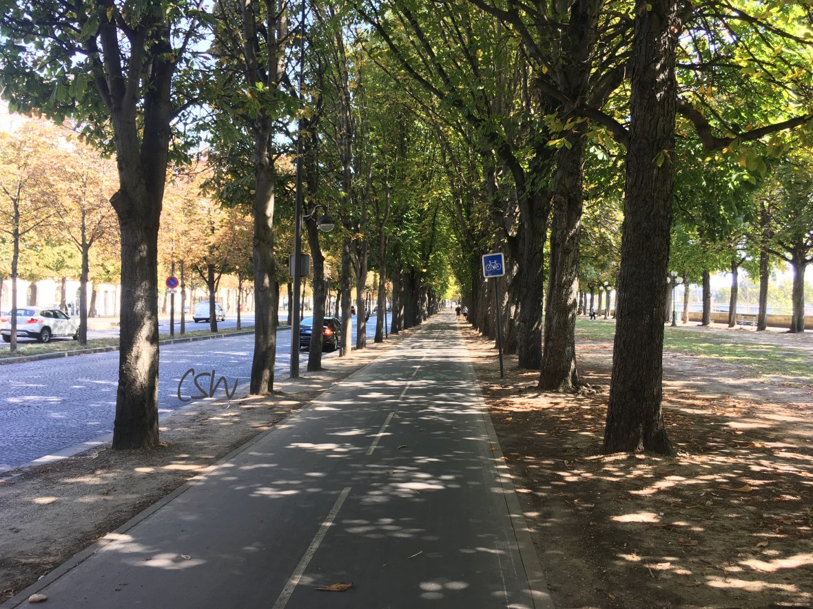 Cycle lane in Paris near the Seine