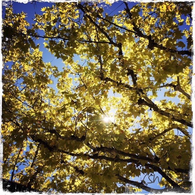 Autumn sky in Sarlat-le-Canéda